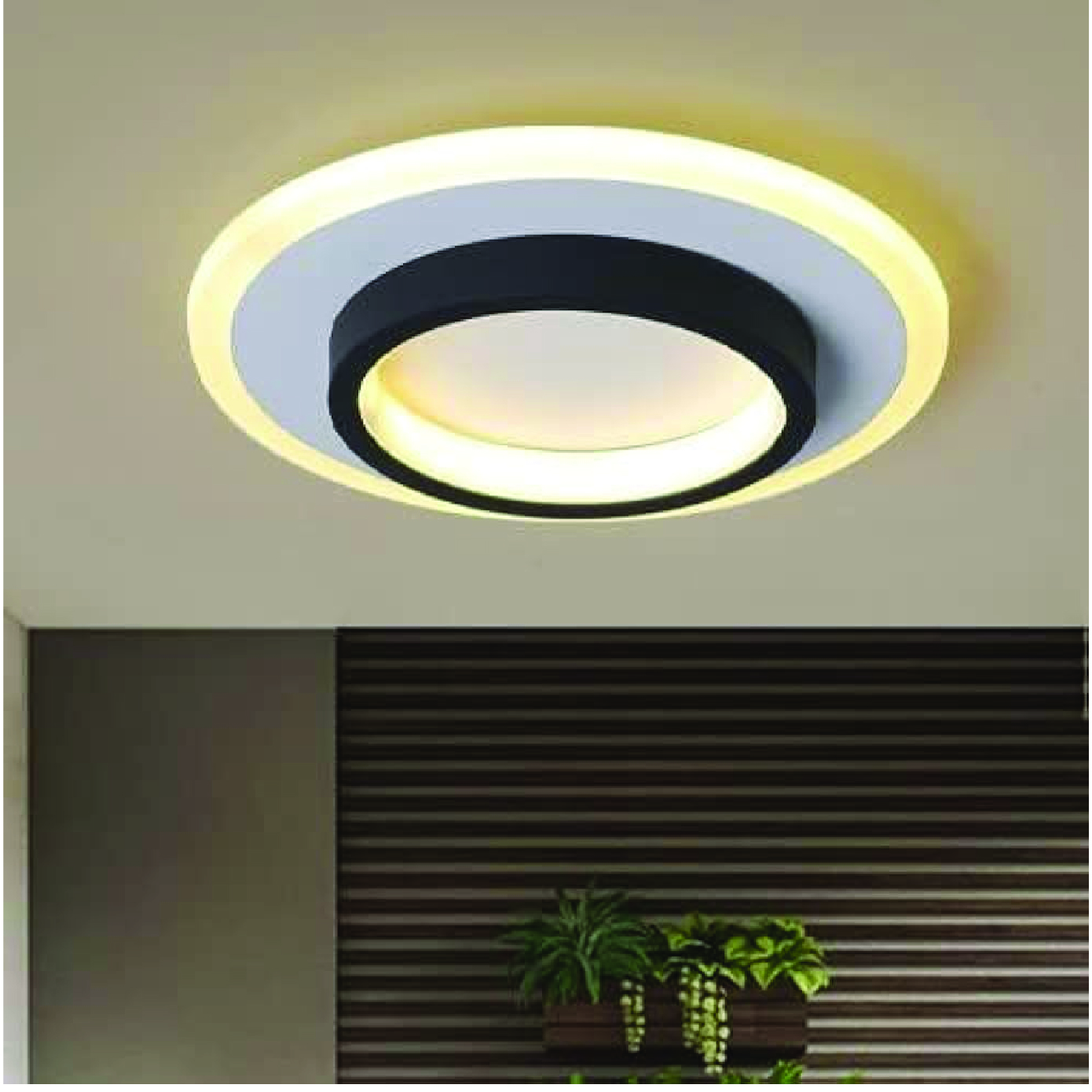 LED Ceiling Lamp
